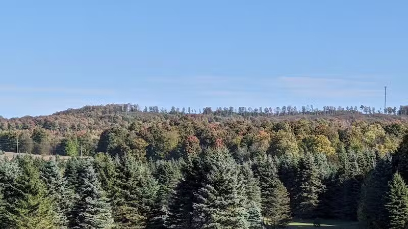 Myles Kimmerly Park - Maple City,