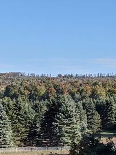 Myles Kimmerly Park - Maple City,