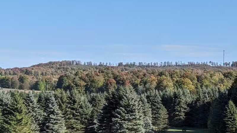 Myles Kimmerly Park - Maple City,