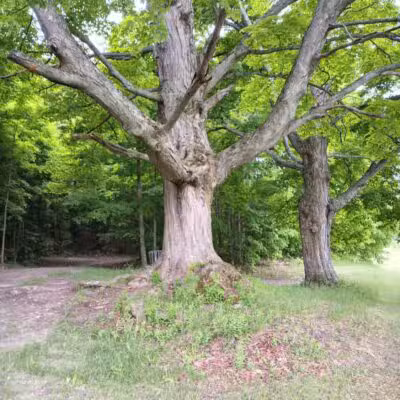 Myles Kimmerly Park - Maple City,