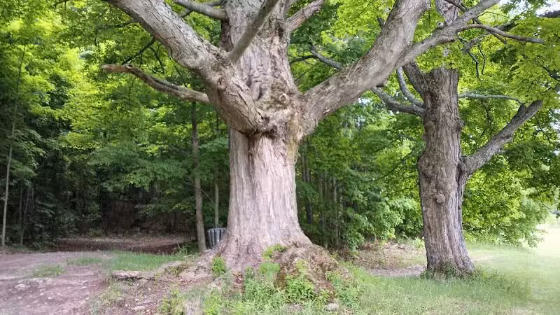 Myles Kimmerly Park - Maple City,