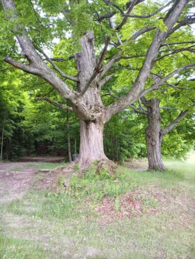 Myles Kimmerly Park - Maple City,