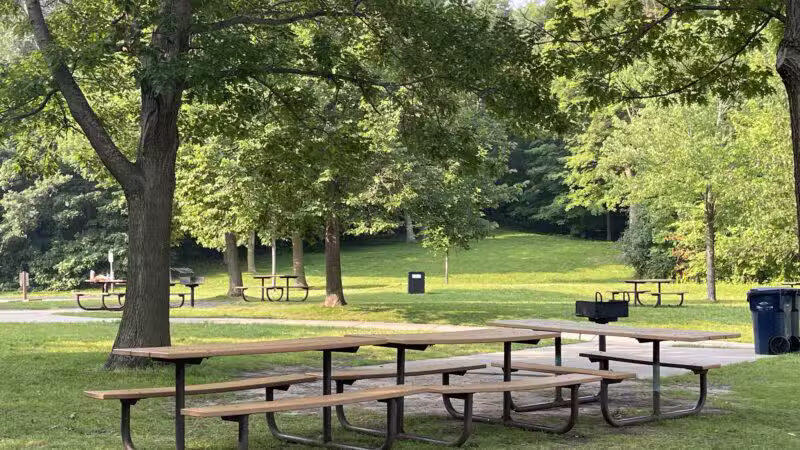 Dog Park at Fish Lake Regional Park - Maple Grove, MN