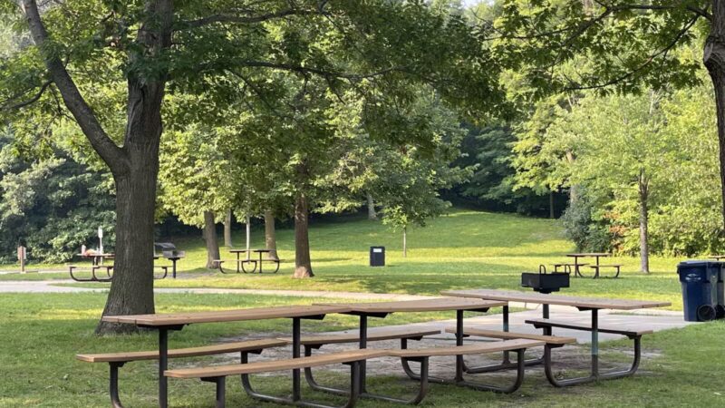 Dog Park at Fish Lake Regional Park - Maple Grove, MN