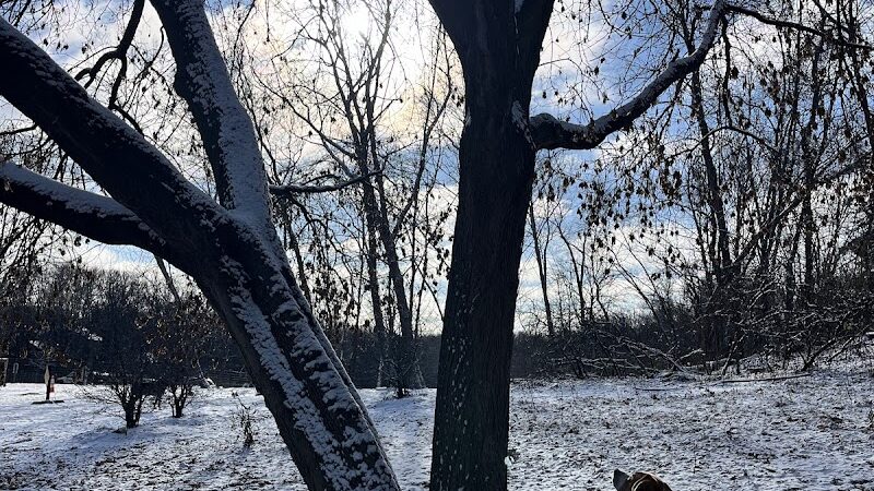 Dog Park at Fish Lake Regional Park - Maple Grove, MN