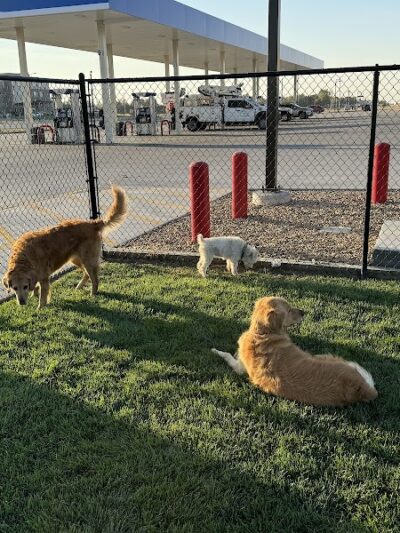 Prairie Dogs Dog Park - Maple Hill, KS