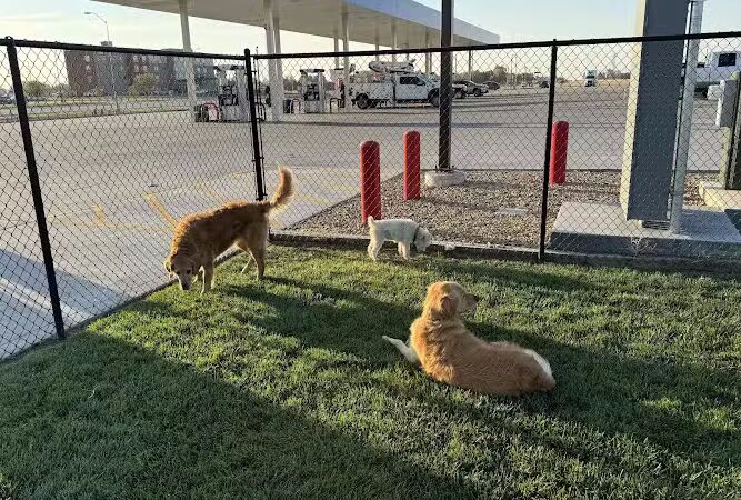 Prairie Dogs Dog Park - Maple Hill, KS