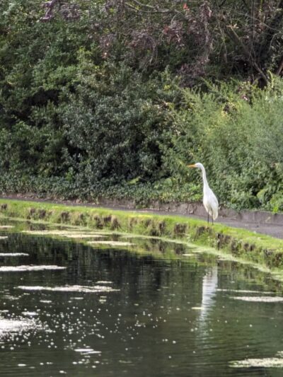 Memorial Park - Maplewood, NJ
