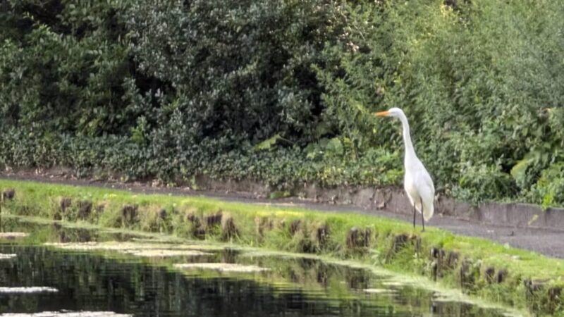 Memorial Park - Maplewood, NJ