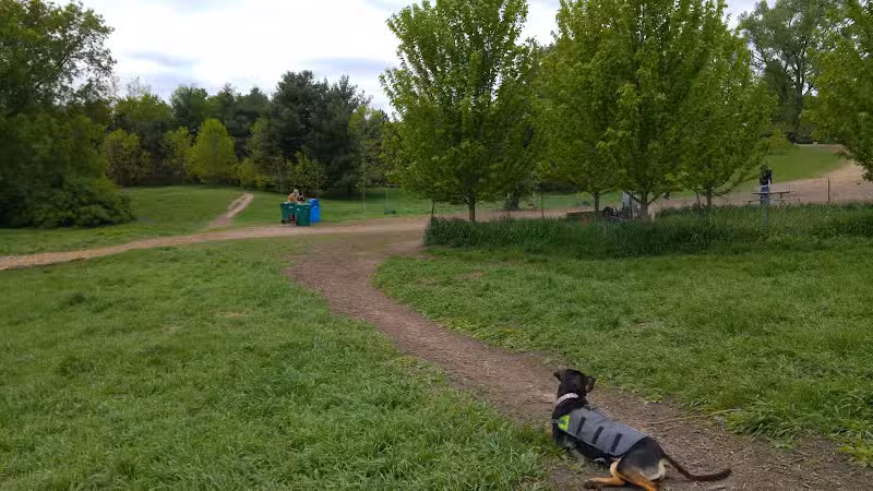 Battle Creek Dog Park - Maplewood, MN