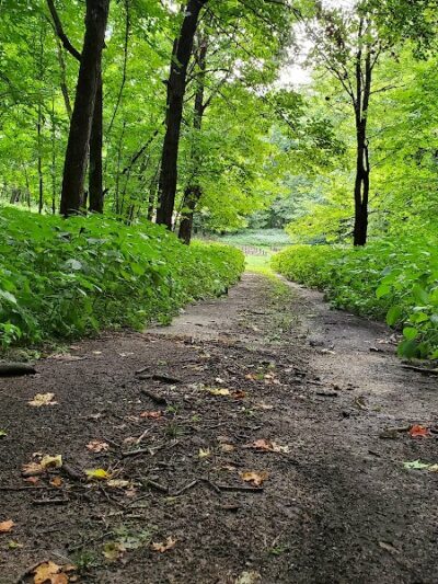 Tosanak Recreation Area - Marble Rock, IA