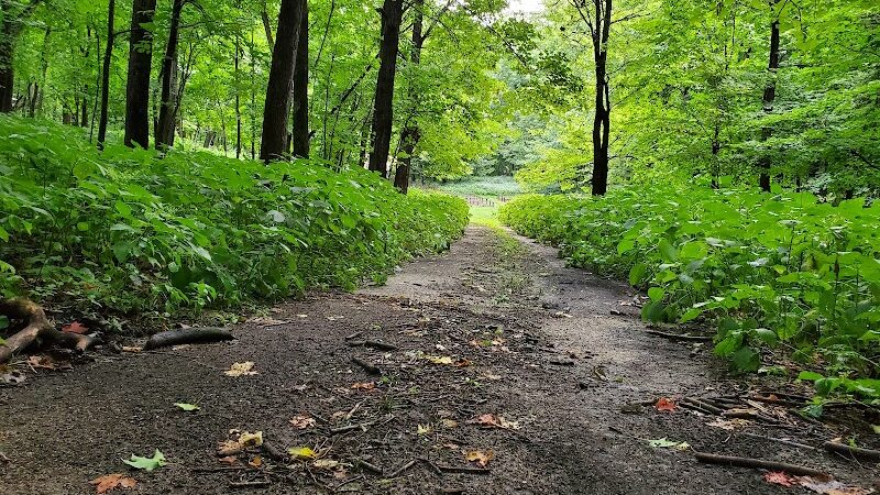 Tosanak Recreation Area - Marble Rock, IA