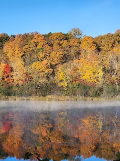 William O'Brien State Park - Marine on St Croix, MN