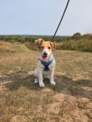 William O'Brien State Park - Marine on St Croix, MN