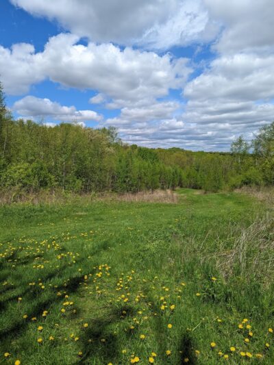 William O'Brien State Park - Marine on St Croix, MN