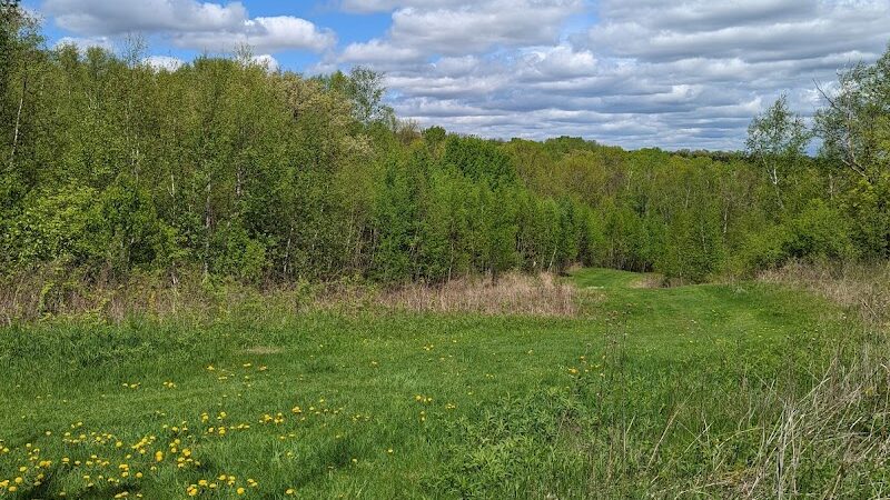 William O'Brien State Park - Marine on St Croix, MN
