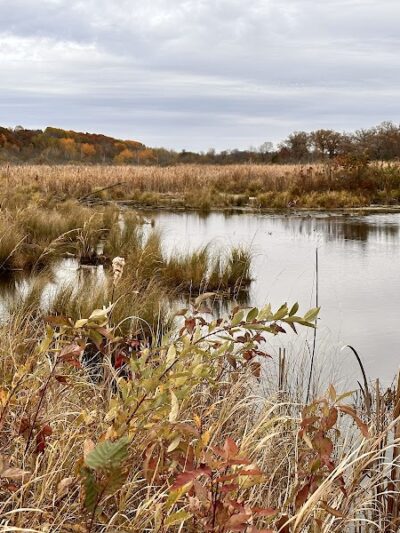 William O'Brien State Park - Marine on St Croix, MN