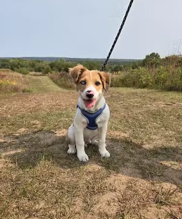 William O'Brien State Park - Marine on St Croix, MN