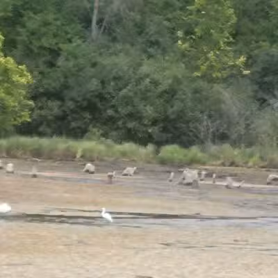 William O'Brien State Park - Marine on St Croix, MN