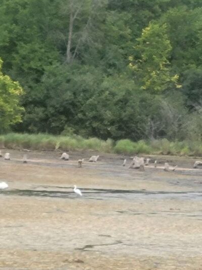 William O'Brien State Park - Marine on St Croix, MN