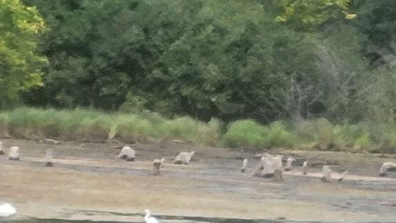 William O'Brien State Park - Marine on St Croix, MN