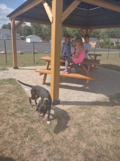 Ultimutt Dog Park - Marion, IN