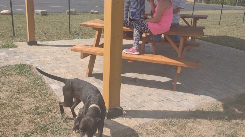 Ultimutt Dog Park - Marion, IN