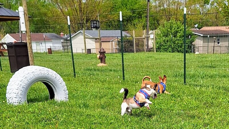 Ultimutt Dog Park - Marion, IN