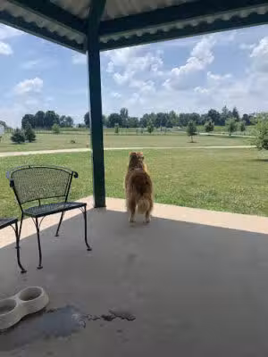 K9 Acres Off-Leash Area - Marion, IA