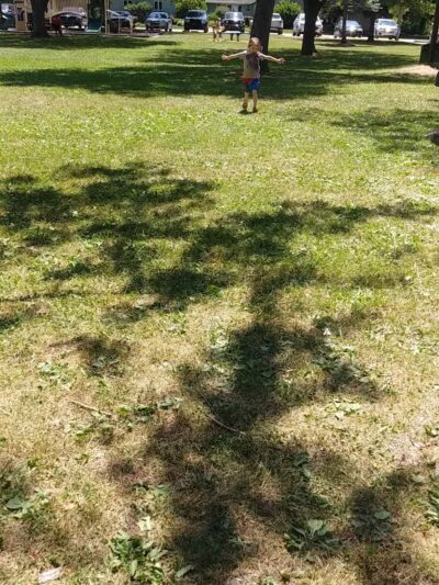 Marlette District Park - Marlette,