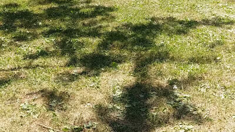 Marlette District Park - Marlette,