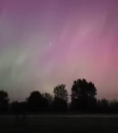 Marlette District Park - Marlette,