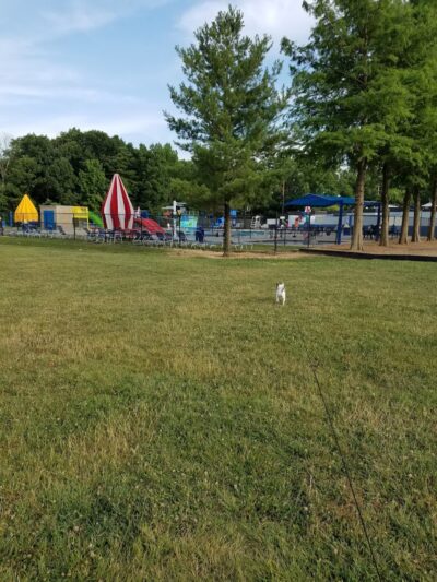 North Barnaby Swimming Pool - Marlow Heights, MD