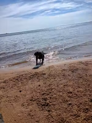 South Beach Park - Marquette,