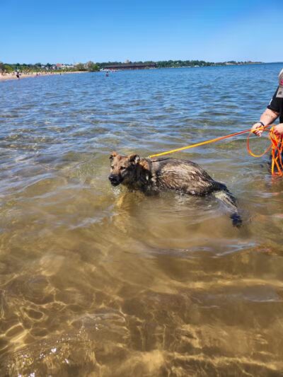 South Beach Park - Marquette,