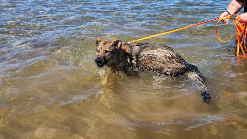 South Beach Park - Marquette,
