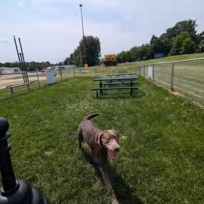 Dog Park at Love's Travel Stops - Marshall,