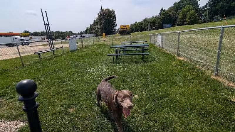 Dog Park at Love's Travel Stops - Marshall,