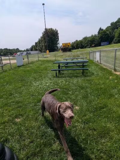 Dog Park at Love's Travel Stops - Marshall,
