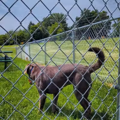Dog Park at Love's Travel Stops - Marshall,