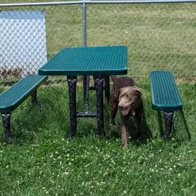Dog Park at Love's Travel Stops - Marshall,
