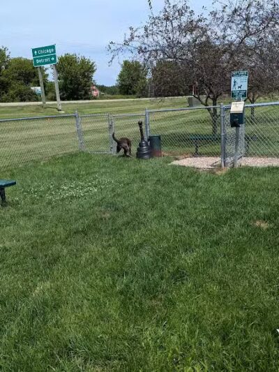 Dog Park at Love's Travel Stops - Marshall,