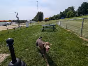 Dog Park at Love's Travel Stops - Marshall,
