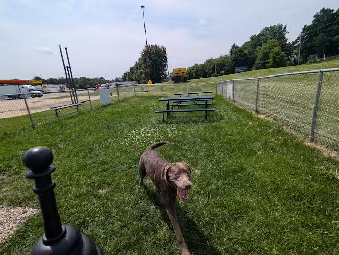 Dog Park at Love's Travel Stops - Marshall,