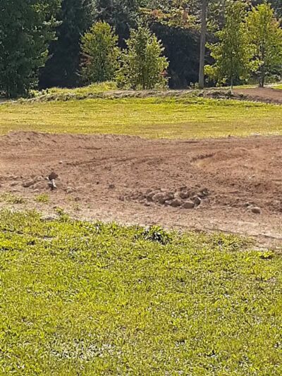 Martin MX Park - Martin,