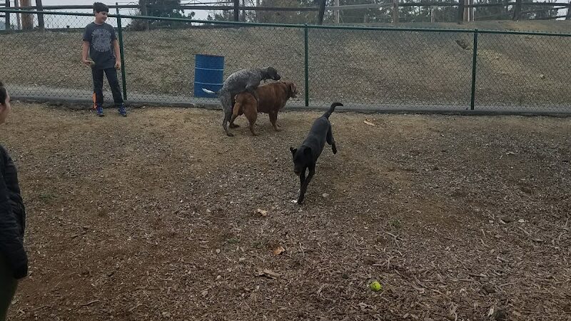 Martinez Waterfront Dog Park - Martinez, CA