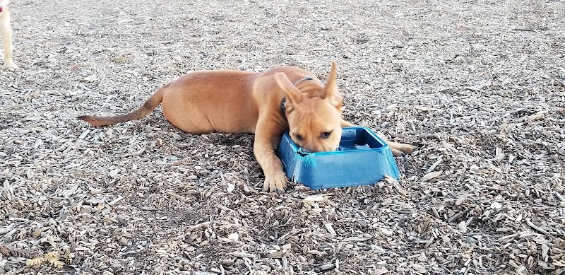 Martinez Waterfront Dog Park - Martinez, CA