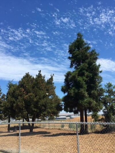 Martinez Waterfront Dog Park - Martinez, CA