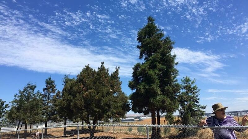 Martinez Waterfront Dog Park - Martinez, CA