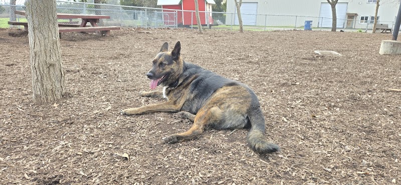 Martinez Waterfront Dog Park - Martinez, CA